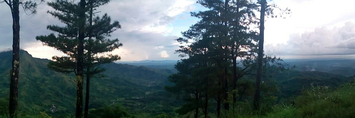 RBitamor's profile banner image