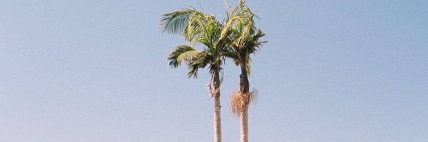 whomptuh Profile Banner