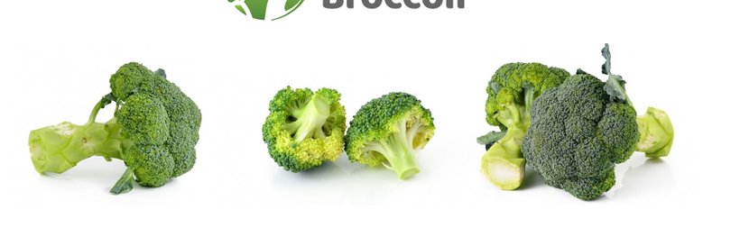 VerdonkBroccoli banner