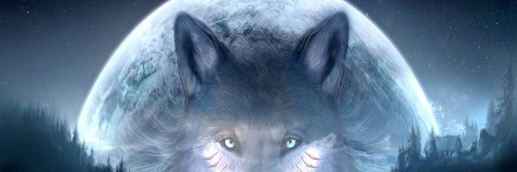 TooSoonMary's profile banner image