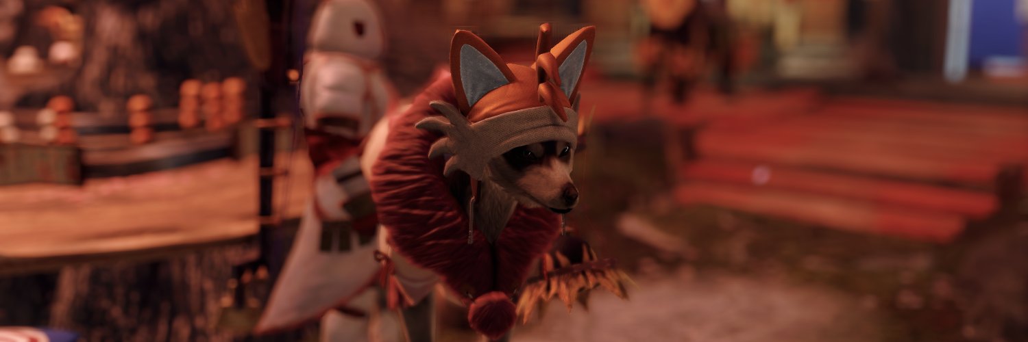 CatsOfLight's profile banner image