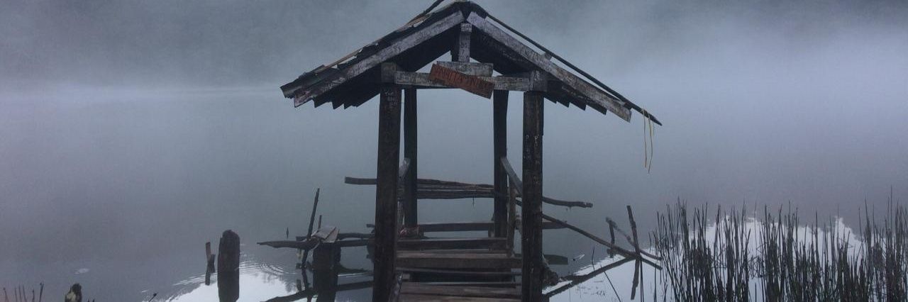 pedroaditia's profile banner image