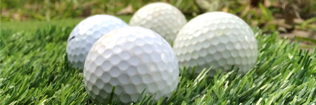 GolfNutPodcast's profile banner image