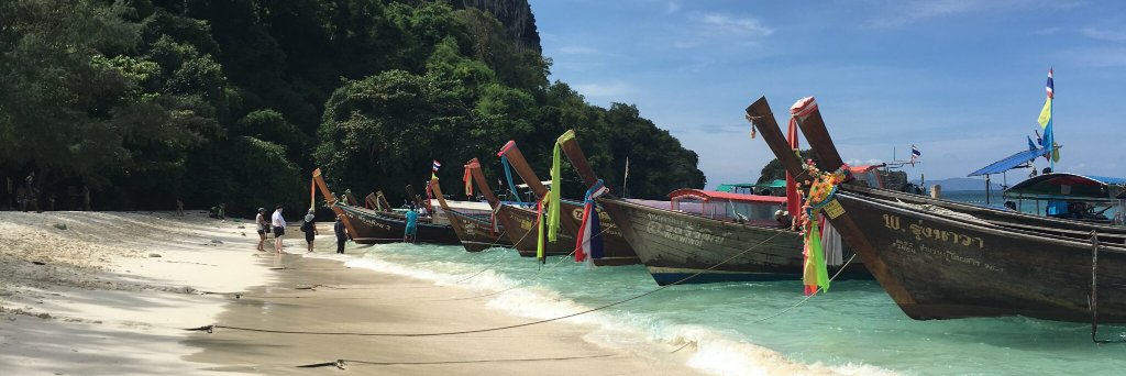 Steve Ironside banner