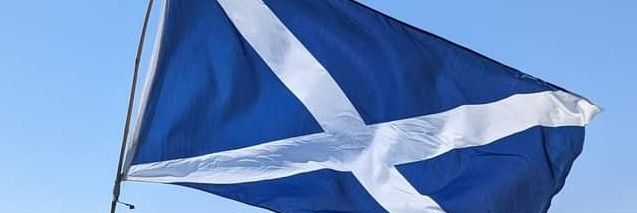 CullochM's profile banner image