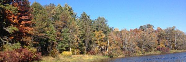 jeriloewe Profile Banner