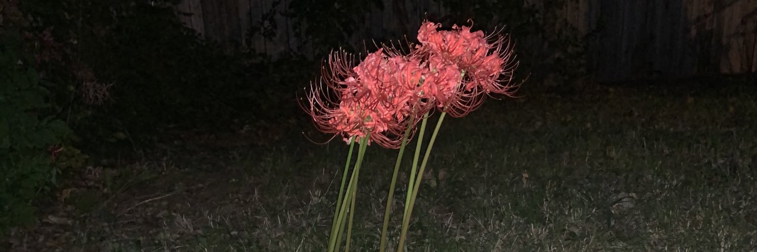 damian_t_'s profile banner image
