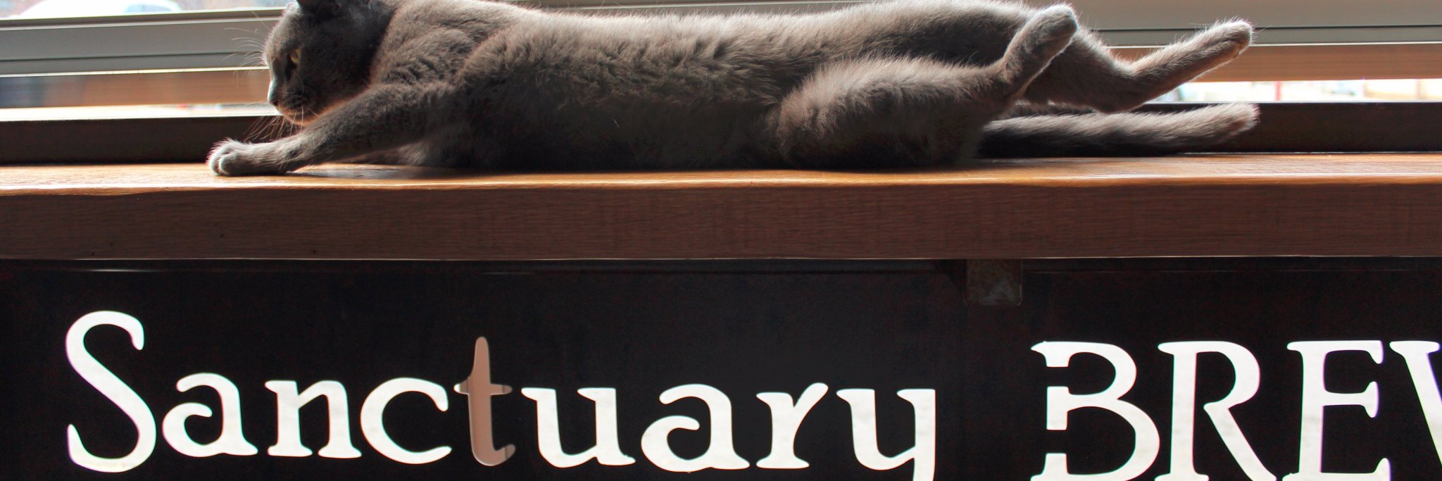 Sanctuary Brewing Co banner