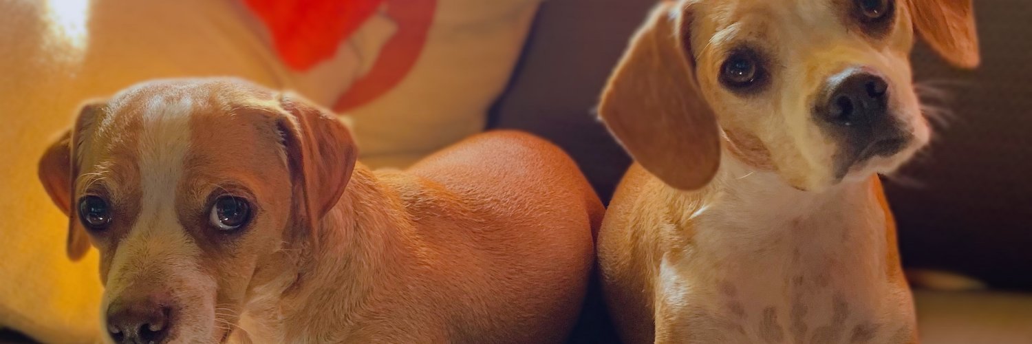 cameronbndln's profile banner image