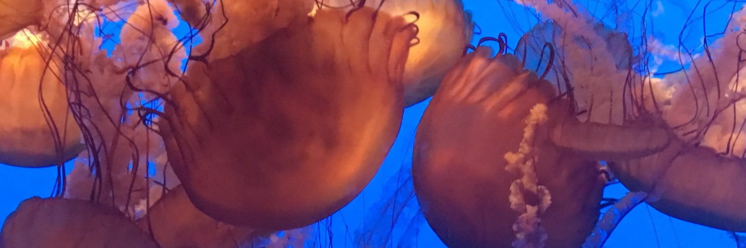 aka_elissa's profile banner image