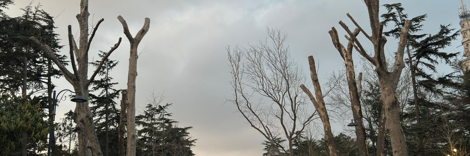 fatihsmunal's profile banner image