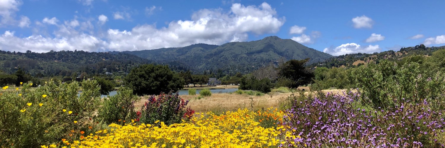 Mill Valley CA banner