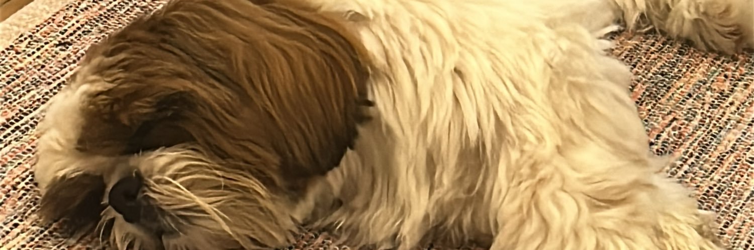 manustieven's profile banner image