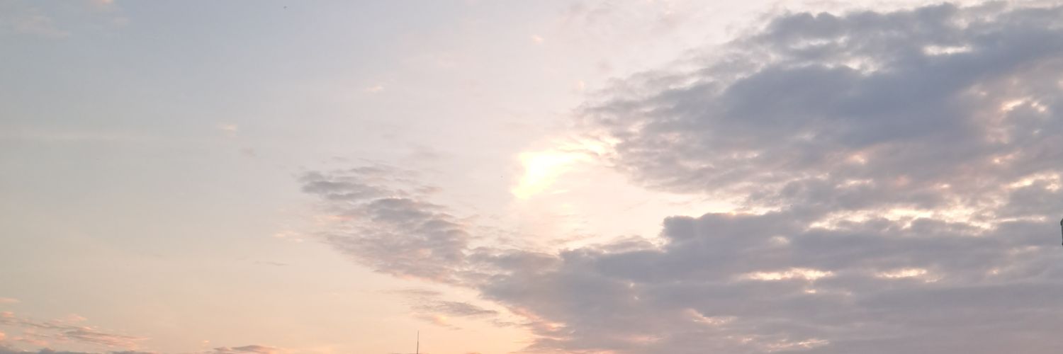TiilyToy's profile banner image