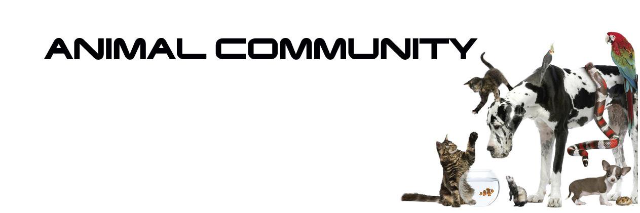 AnimalComun's profile banner image