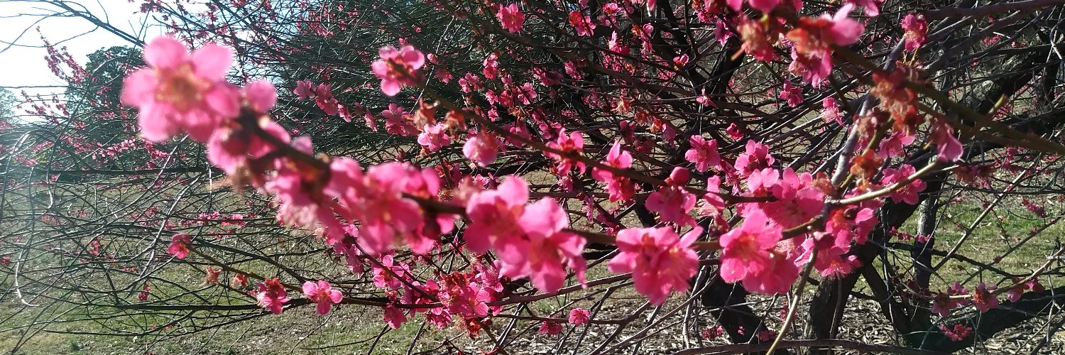 Elizabeth Zeitler banner