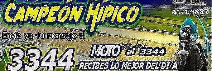 CAMPEONHIPICO's profile banner image