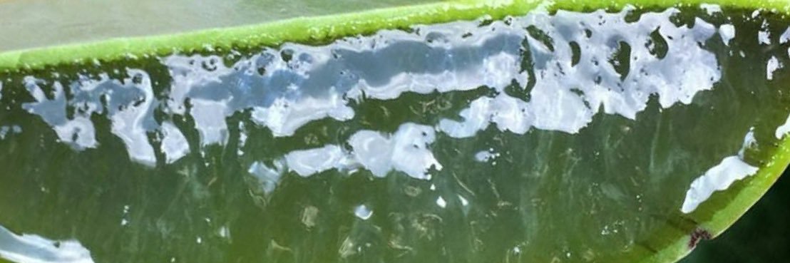 NehTimes2's profile banner image