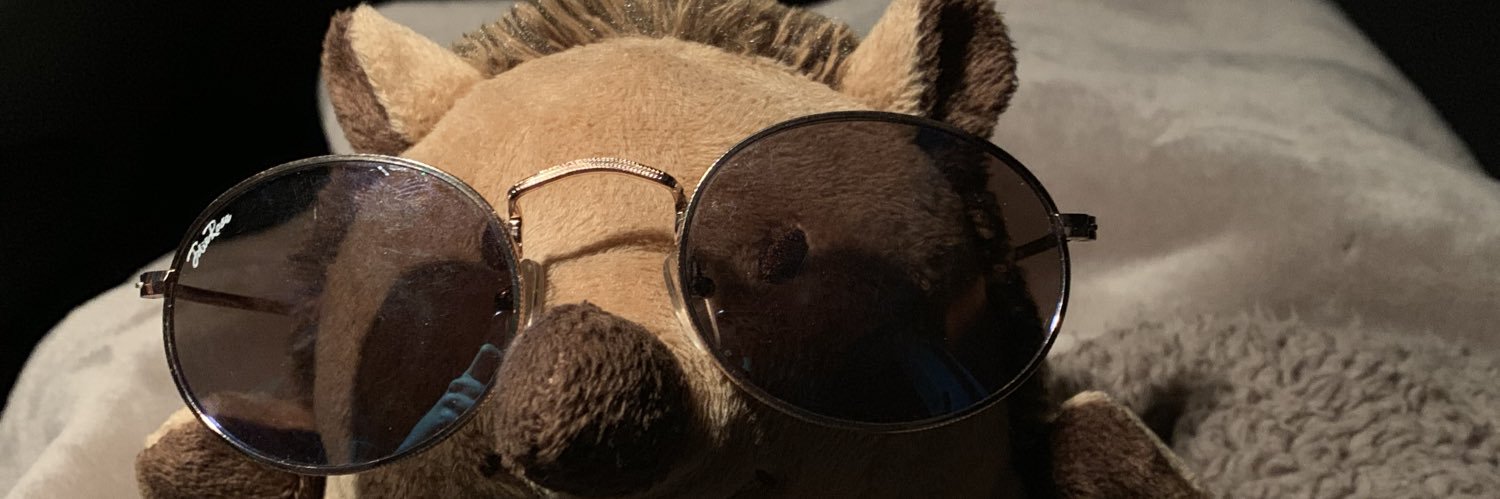 LollNoa's profile banner image