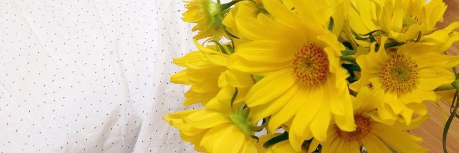 _mariagm98's profile banner image