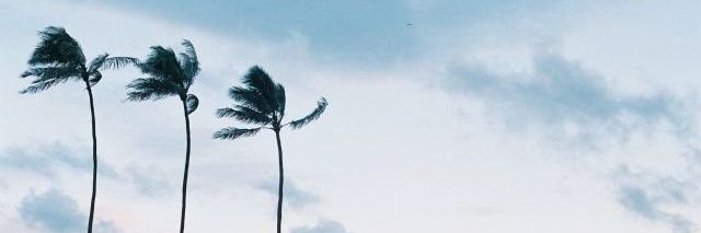 Nughddie's profile banner image