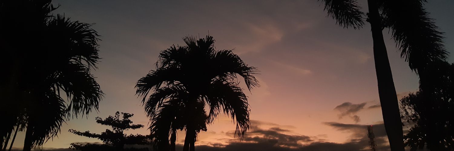rienceevalina's profile banner image