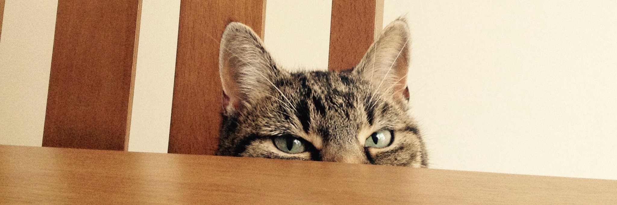 Kieran Hunt ™ banner