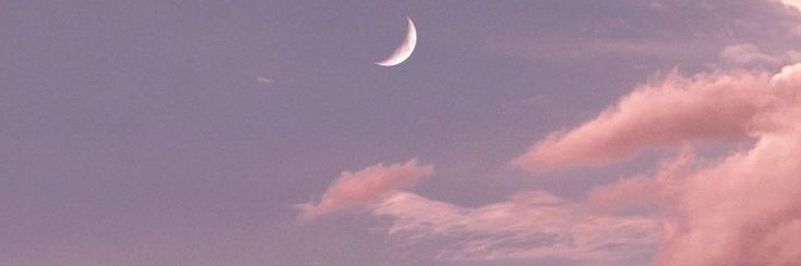 FlowerHeart28's profile banner image
