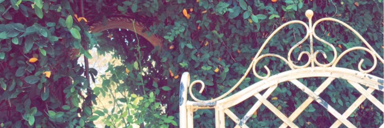 vintagepath's profile banner image