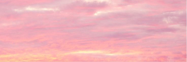 SexyAssPresents's profile banner image