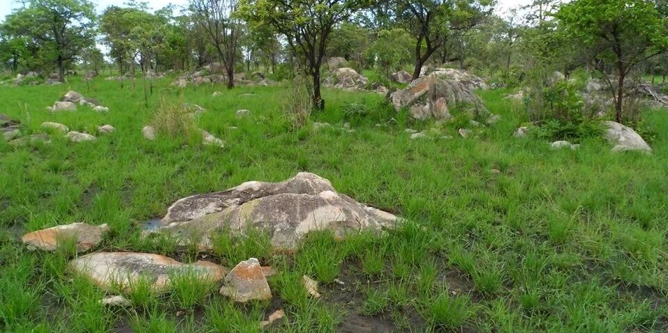 SITHABILE1's profile banner image