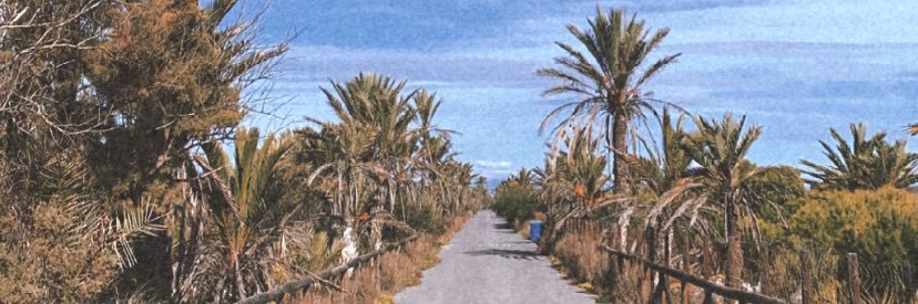 evateblick's profile banner image