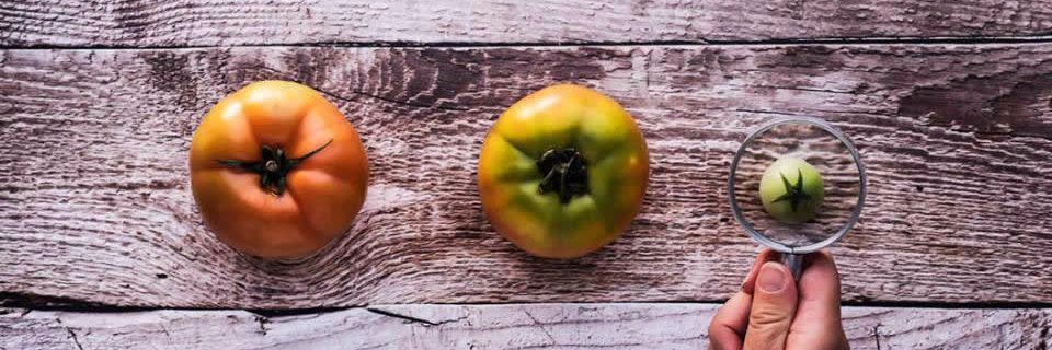 LaGazzettaDelGusto banner