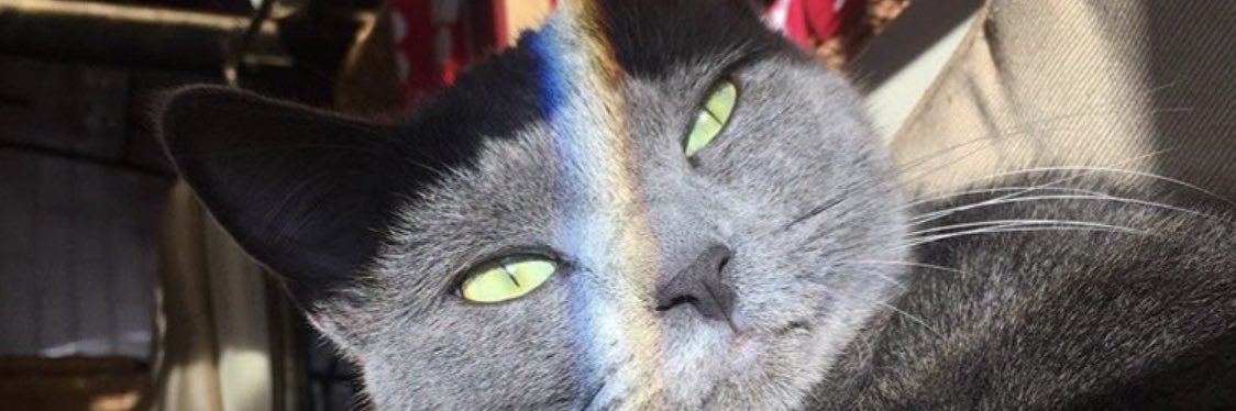 chloeegll's profile banner image