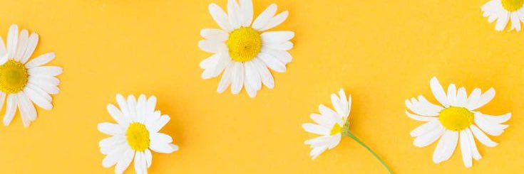missmoonchildph's profile banner image