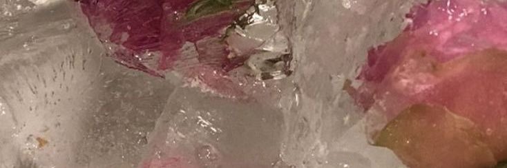aicha_gamech's profile banner image
