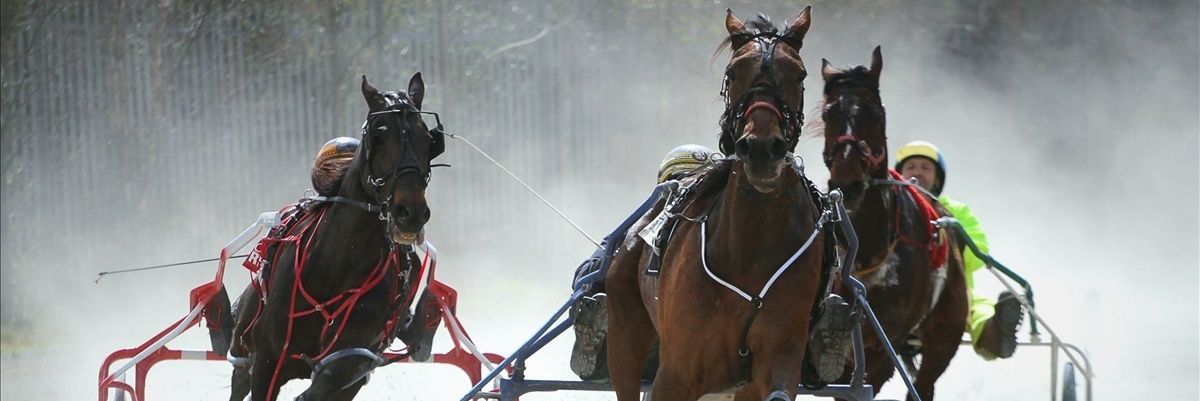 Irish Harness Racing banner