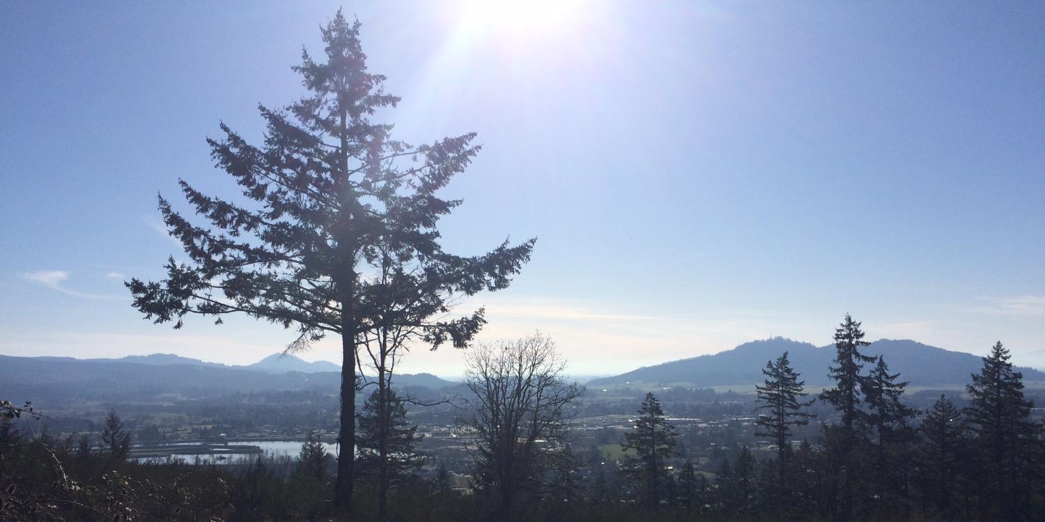 kdjohannessen's profile banner image