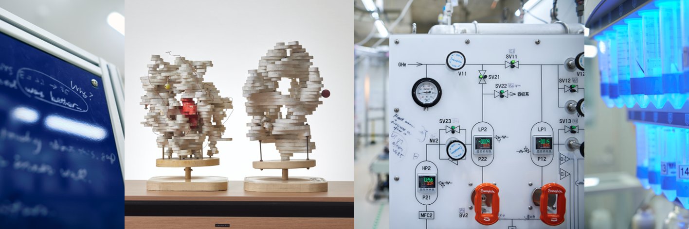 大阪大学蛋白質研究所 banner