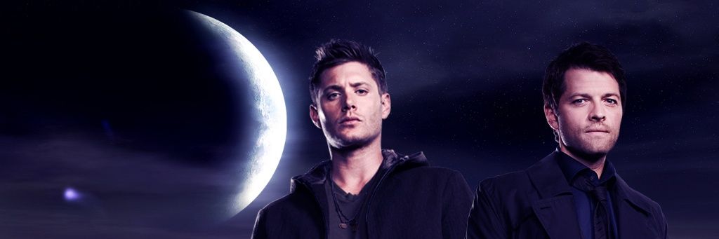 dahlyastuart's profile banner image