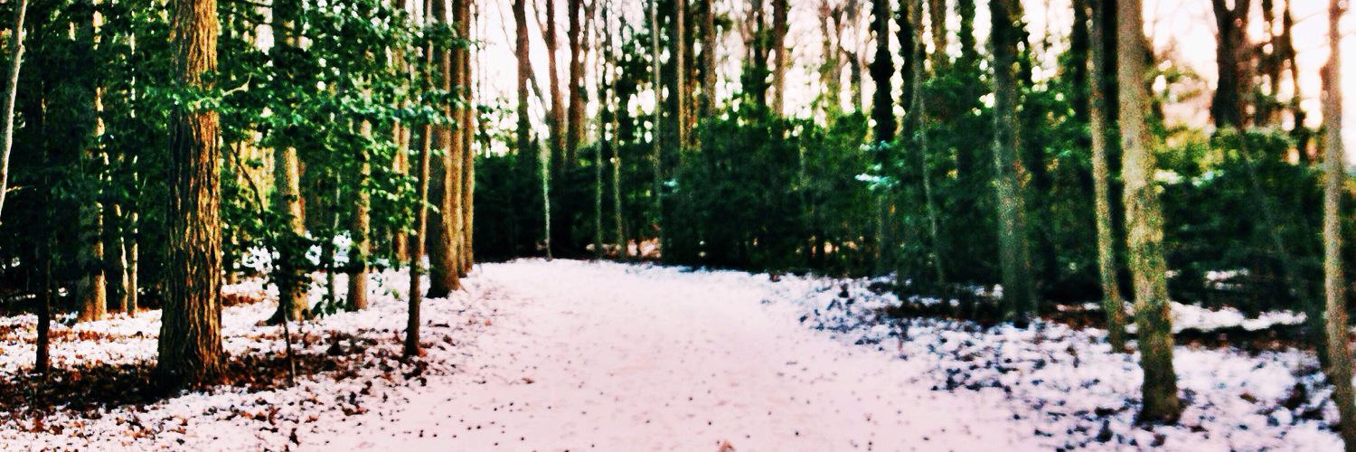 allisundee's profile banner image