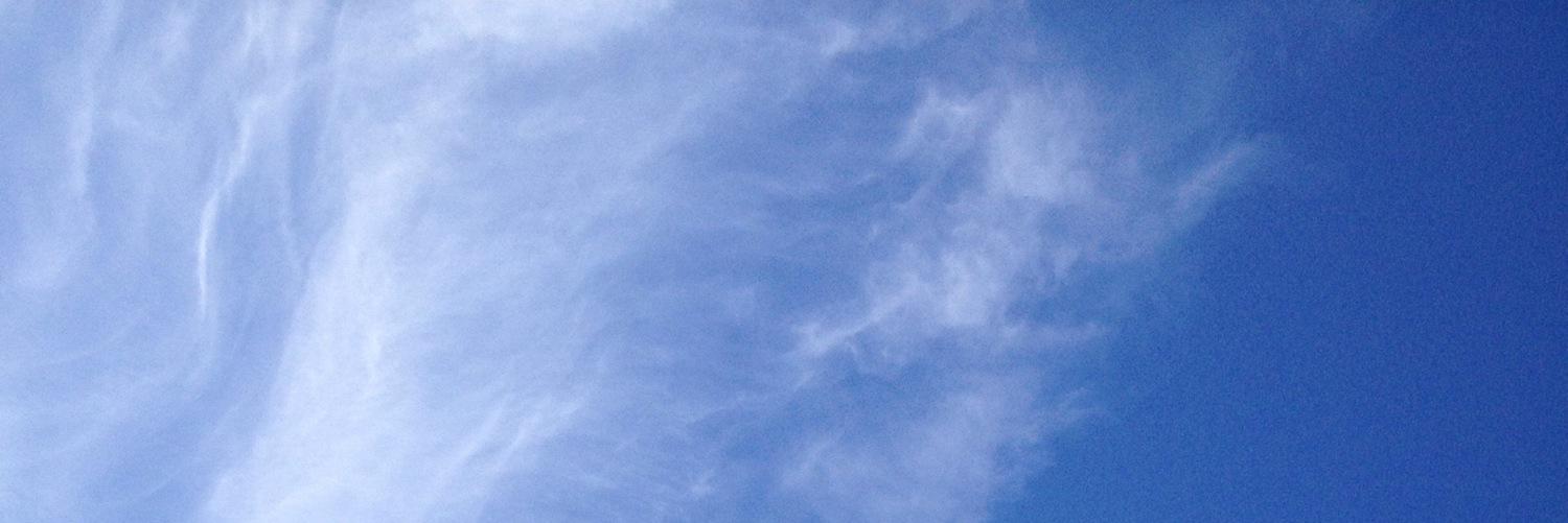 FergustheDragon's profile banner image