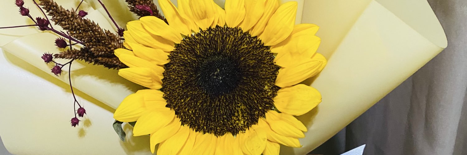 mjeix's profile banner image