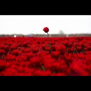 Nano022158's profile banner image