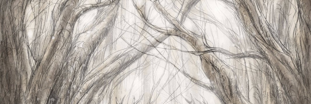 Erin Beachy banner