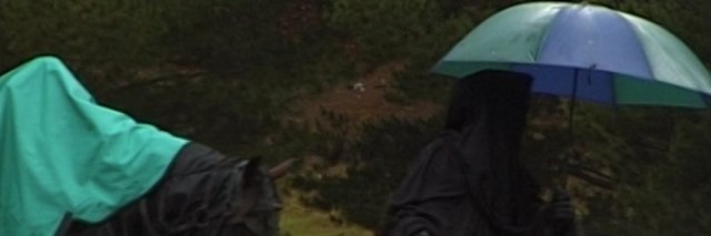 Destmor banner