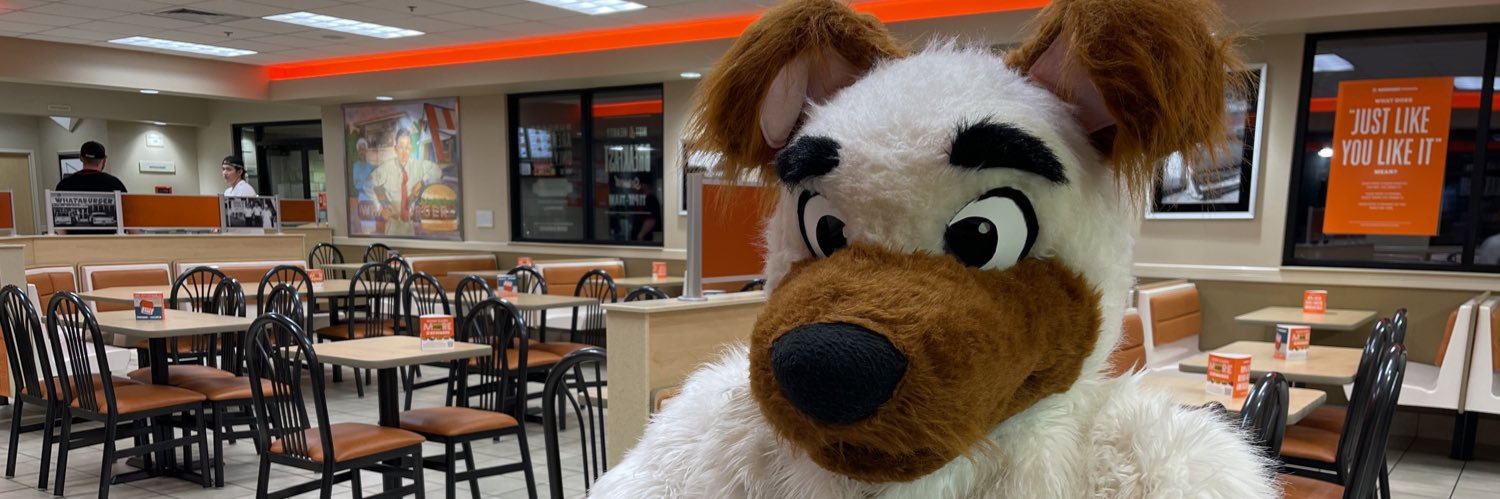 ThunderRoo's profile banner image
