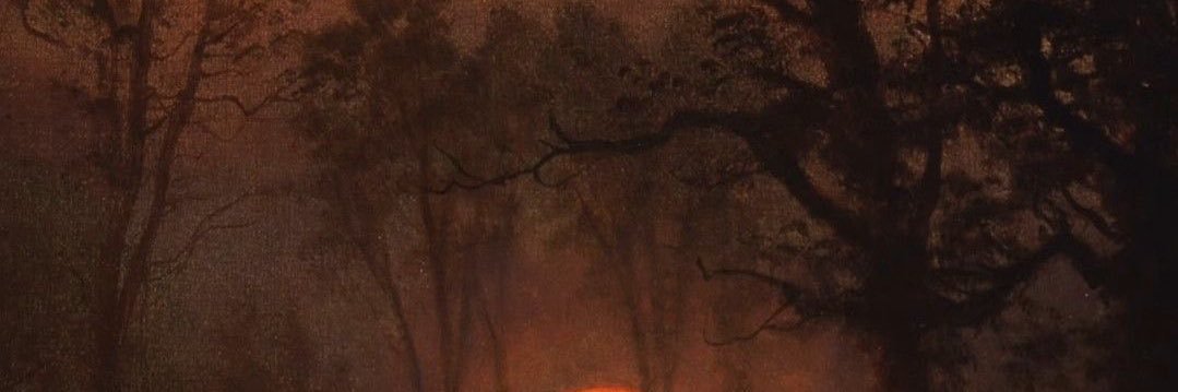 selenehsoto's profile banner image