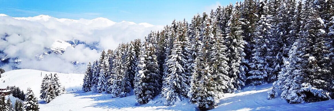 Benjamin Mills banner