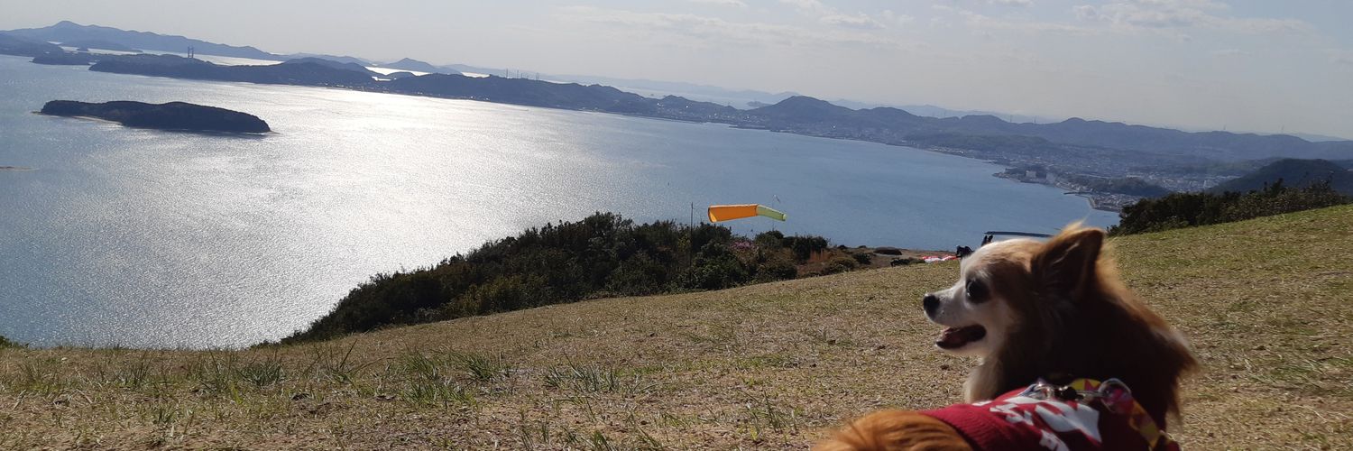 nom5544's profile banner image